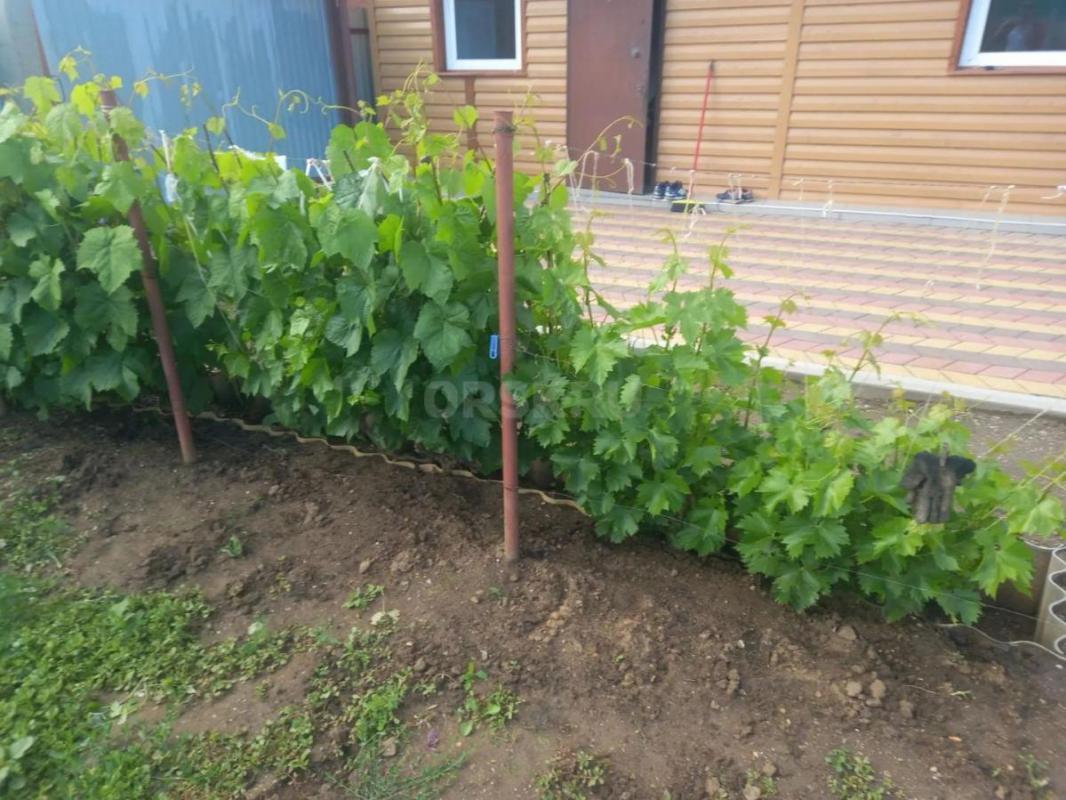 Продам сад.участок СНТ Ударник,5.3 сотки,все насаждения,дом 27 кв. - Орск